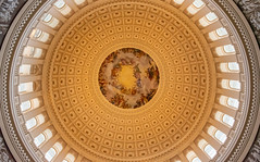 Under The Capitol Dome