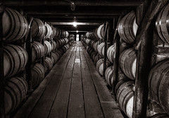 Buffalo Trace Bourbon Distillery (Explore)