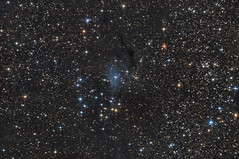 Vdb 4 & NGC 225 | sailboat cluster