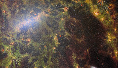 Webb Peers Behind the Bars of NGC 5068