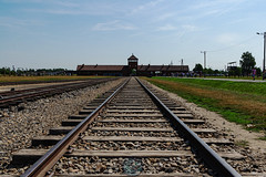Auschwitz, 6 Août 2019