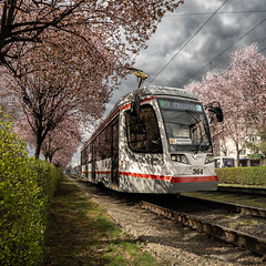 Spring tram