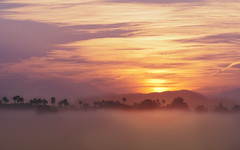 The Sun Rises Over Fog