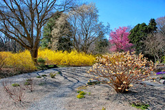 Spring Has Sprung, Planting Fields Arboretum, Oyster Bay, New York