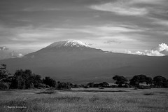 Kilimanjaro View from Amboseli, Kenya (Explored 4/18/24)