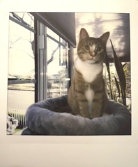 ‘RoidWeek 2024 Day 1: Percy with Instax