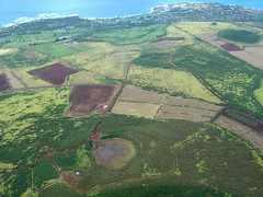 Kauai Farming & Fields