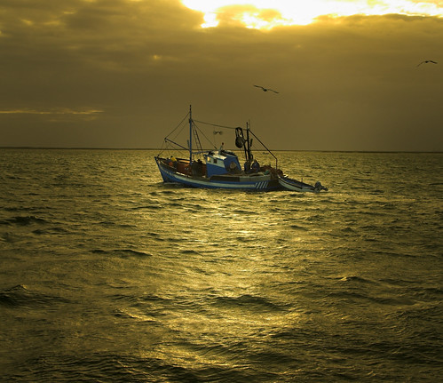 The Little Fishing Boat - Revisited