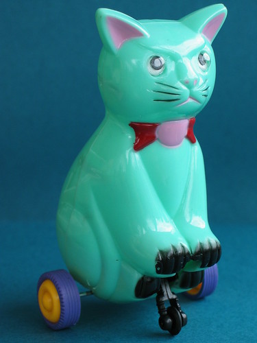 Angry cat on wheels