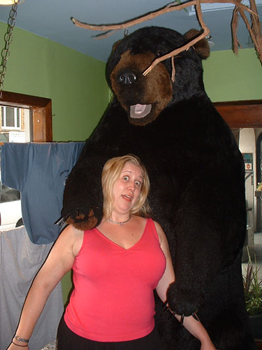 I was attacked by a bear: Beth being attacked by a bear