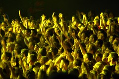 yellow. [crowd.]