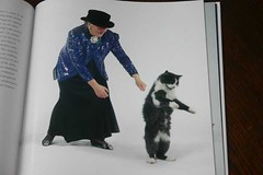 dancingwithcats-004