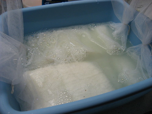 Washing cormo - soapy soak