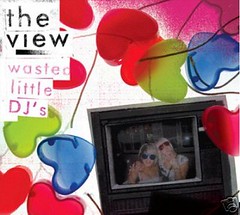 The View - Wasted Little DJs