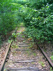 Rail Trail?