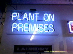 Plant On Premises