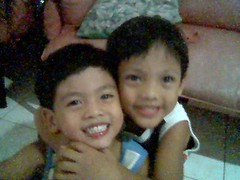 gelo and violo