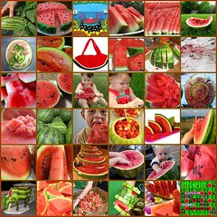 Watermelon Faves