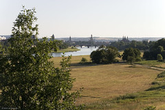 Elbe bei Dresden