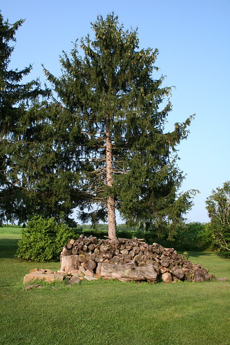 Tree and woodpile