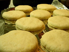 English muffins before rising