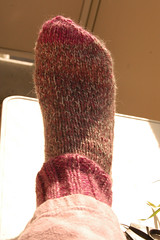 Knitted pink sock