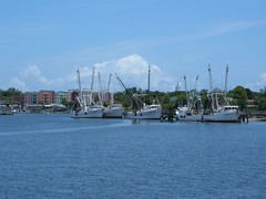 The Shrimp Fleet in Fernandina Beach, FL
