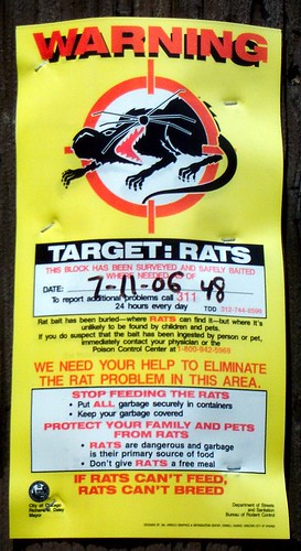 Rat Sign