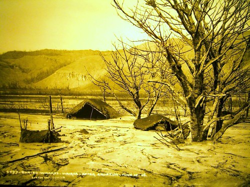 Te Wairoa Buried Village當時照片