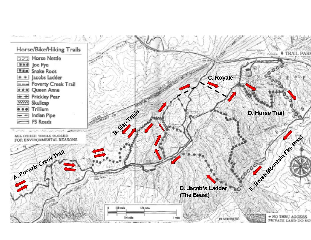 Rowdy dawg course map