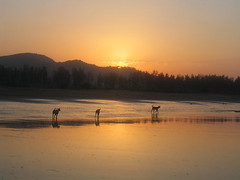 Harihareshwar - sunrise
