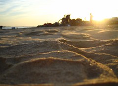 La arena por la mañana