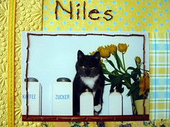 Niles-Stitching