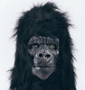 KY Gorilla Guy portrait