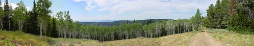Ridge Panorama 1