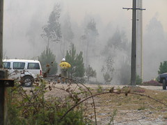 Fire in Monte do Castrove - 4