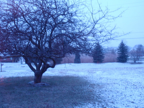 Snowy Michigan Morning