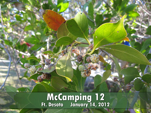 McCamping 12