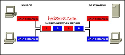 6625013263 191f4bd24c z ENetwork Chapter 2 CCNA 1 4.0 2012 100%