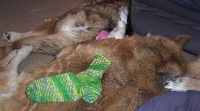 first green yellow blue sock