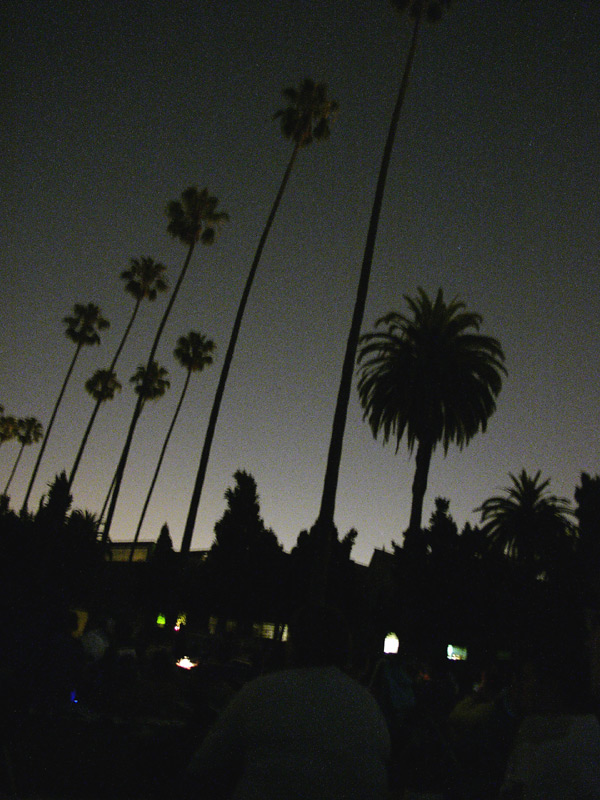 hollywood forever at night