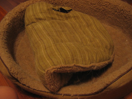 Moxie's Old Bed