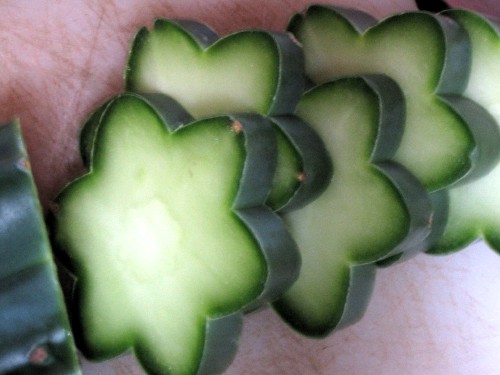 Cactus slices (plain)