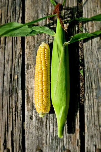 Container Corn