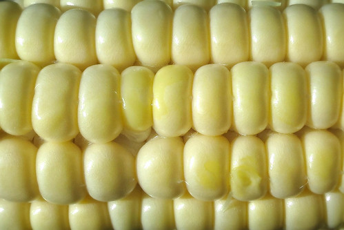 First Ear of Corn