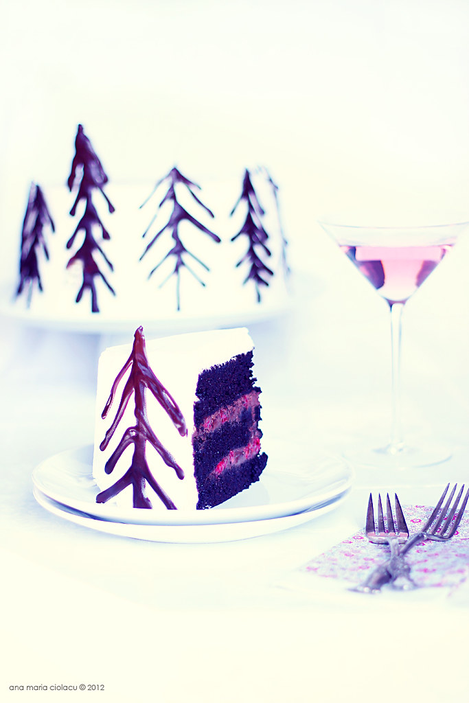 Raspberry Black Forest Cake 3