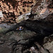 Formentera - Cueva Faro de Barbaria