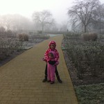 Cold & Foggy at Wisley<br/>14 Jan 2012