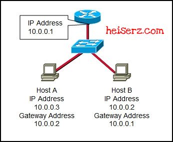 6632410635 6791b1fd85 z ENetwork Chapter 10 CCNA 1 4.0 2012 100%