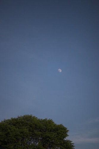 Moon Over Etobicoke